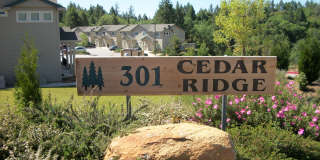 301 Canyon Creek Dr Gallery 1