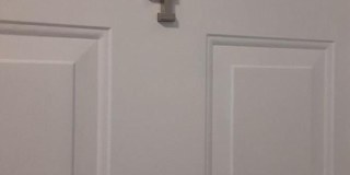 1712 W LOMBARD Street Gallery 2