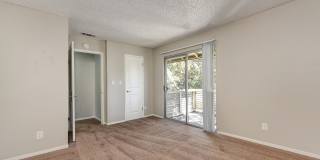 Chardonnay Ridge Gallery 24