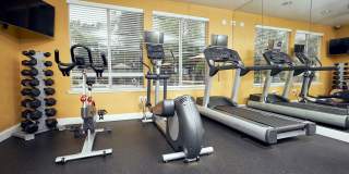 Alta Vista Gallery 9