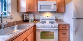 HOMESTEAD APARTMENTS Gallery 3