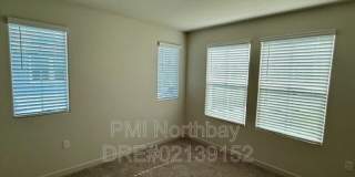 109 Clownfish Street Gallery 8