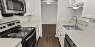 Hilton Head Gallery 5