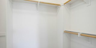 66 Tulip Gallery 17