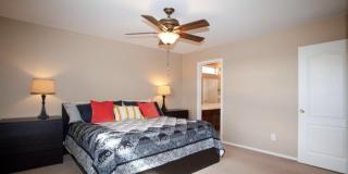 23893 N Desert Agave St Gallery 23