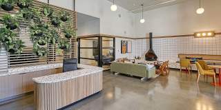 Terrace Station Gallery 9