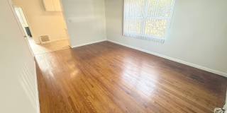 OCEAN VIEW Gallery 3