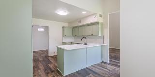8308 Albany Avenue Gallery 19