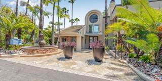 Allina La Jolla Gallery 19