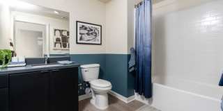 North Grove Gallery 43