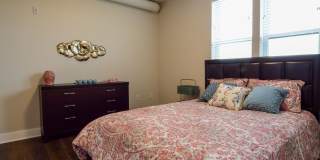 The Bungalows on the Lake - The View Gallery 210