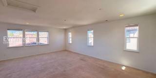 3206 Vittoria Loop Gallery 15