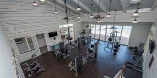 Red Knot at Edinburgh Gallery 26