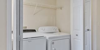 Pepperstone Gallery 6