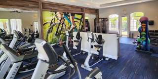 Lexington Palms at the Forum Gallery 29