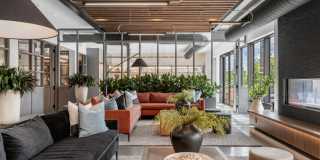 Alder at Allston Yards Gallery 35