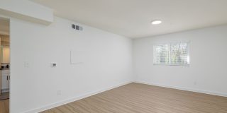 Canopy Gallery 8