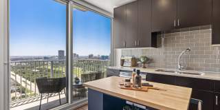 Allure Hermann Park Gallery 76