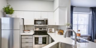 Avana Coronado Gallery 4