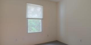4 bedroom / 2 1/2 Bath. Undergrad Welcome. Off Street Parking, Bus Route Gallery 11