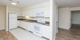 Chestnut Hill East Gallery 11