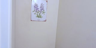 1900 Little Elm Trail Gallery 12