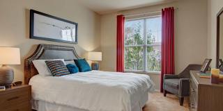 Stoneleigh at the Reserve Gallery 5