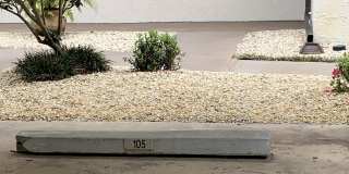 275 Indigo Drive Gallery 4
