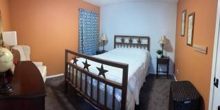 54 Basin Elm Gallery 14