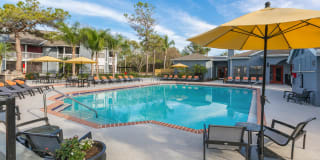 Northgreen at Carrollwood Gallery 24