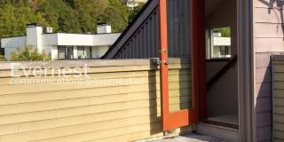 560 McGraw Street Gallery 25