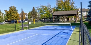 Sterling Pointe Gallery 1