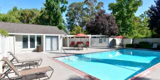 The Crossing at Arroyo Trail Gallery 22