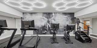 Celebration at Sandy Springs Gallery 4