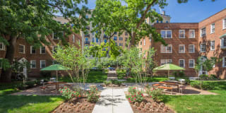 Harvard Village Gallery 3