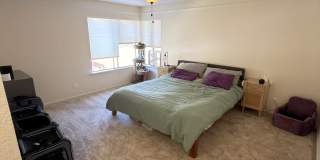 9062 Stargaze Avenue Gallery 21