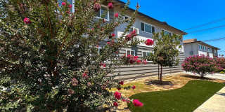 1111 S. Benito Apts - 1609 Gallery 1