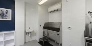 Avalon Laurel Gallery 28