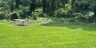 Amenities and Utilities included Richmond Condo Near VCU and UR Gallery 19