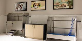 Alta French Hill Gallery 54