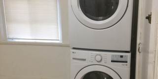 Great Sunny 3 Bed w/ Yard! Gallery 7