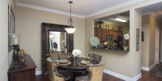 Ibis Trail Gallery 1