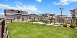 Prose Ascend Gallery 52