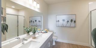 Illumina at Gulf Coast Town Center Gallery 23