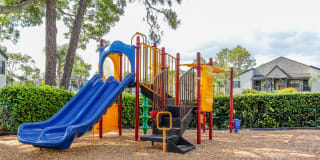 Cypress Run Gallery 10