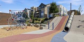 158 Restore Gallery 56