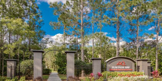 TGM Palm Aire Gallery 32