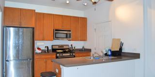 1431 S Halsted Street Gallery 2