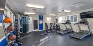 evRIA Diamond Valley Gallery 11