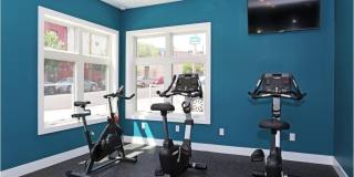 3925 Haverford Ave -The GrandView West Gallery 146